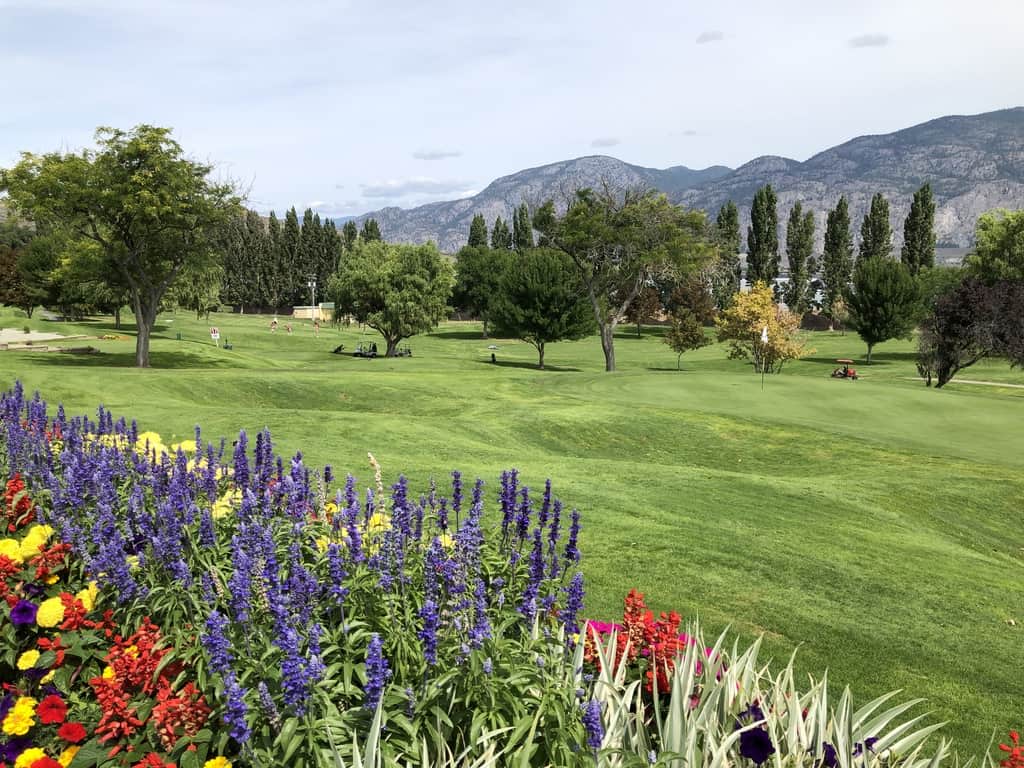 Flowers along the Osoyoos course