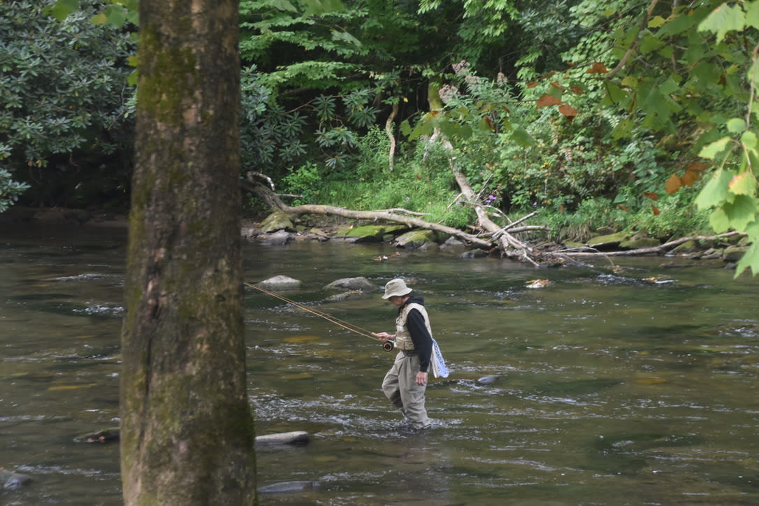 Fly fishing for trout on the Ravenfork River