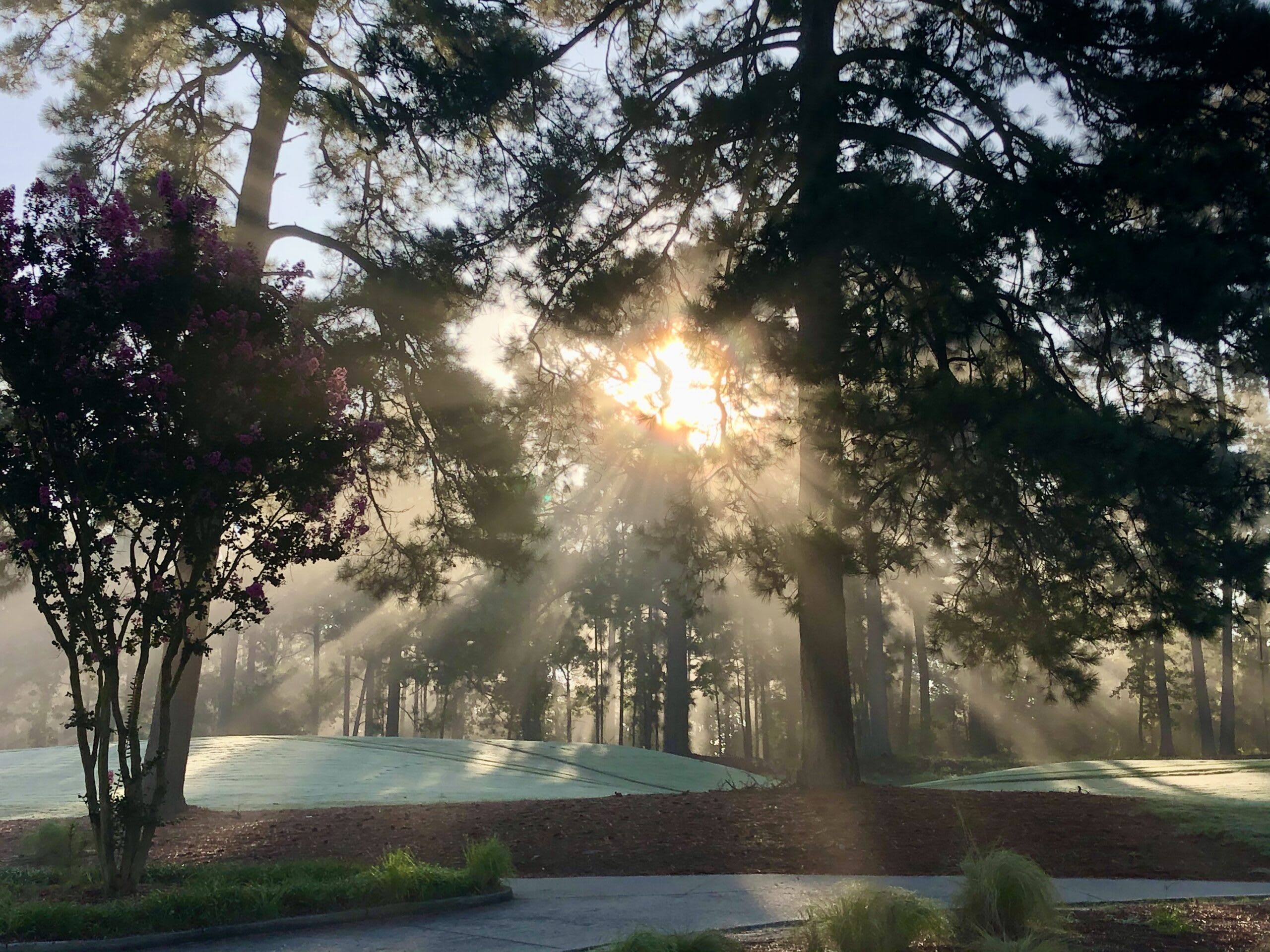 Janice first off the tee at Pinehurst No. 8 in the morning fog
