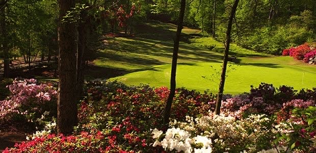 A hole at Dancing Rabbit