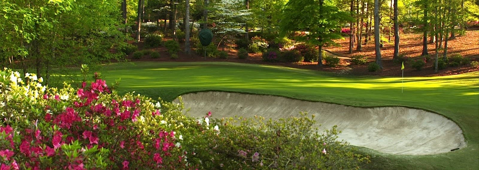The course at Dancing Rabbit
