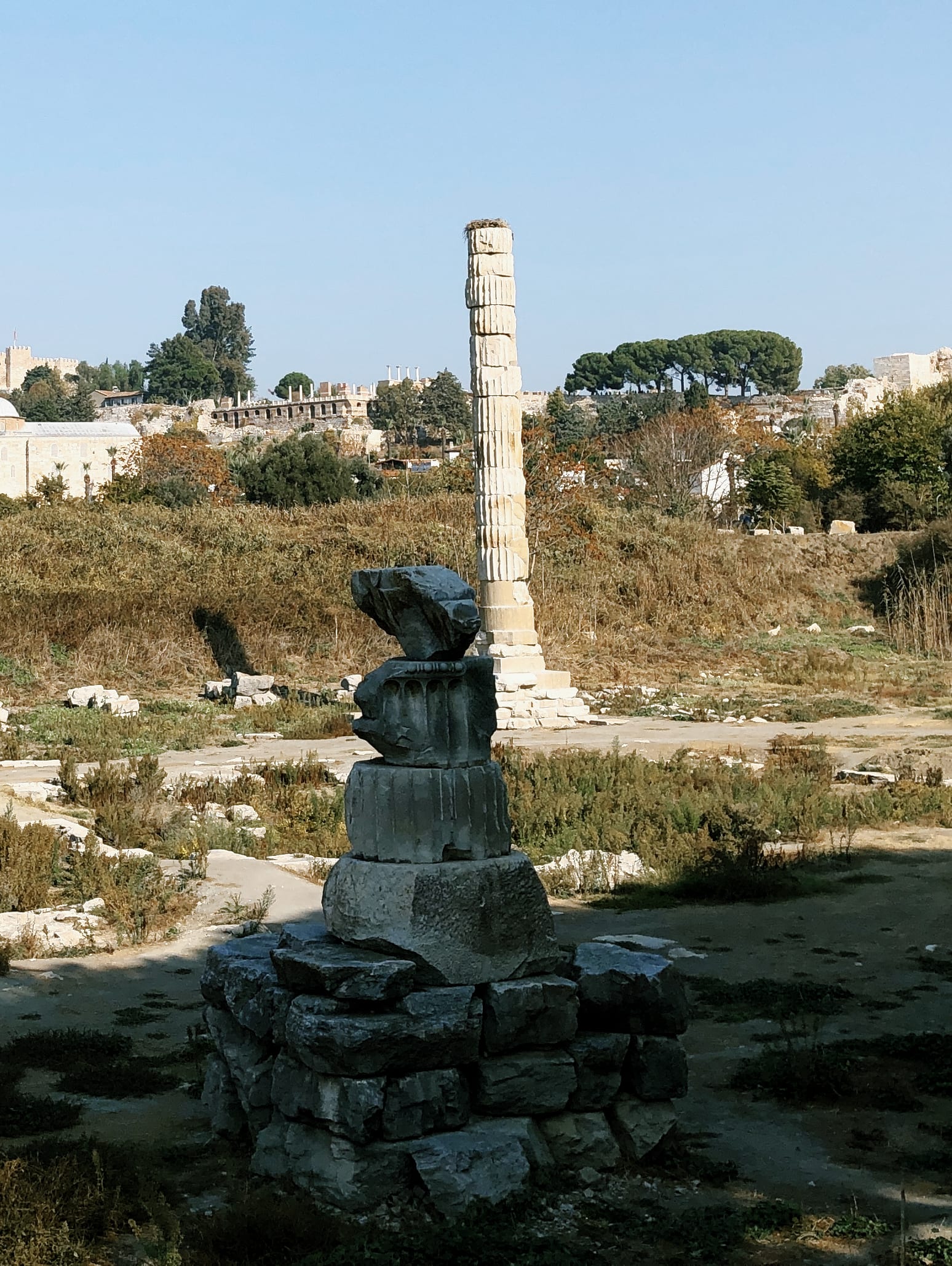 The single column left of the Temple of Artemis