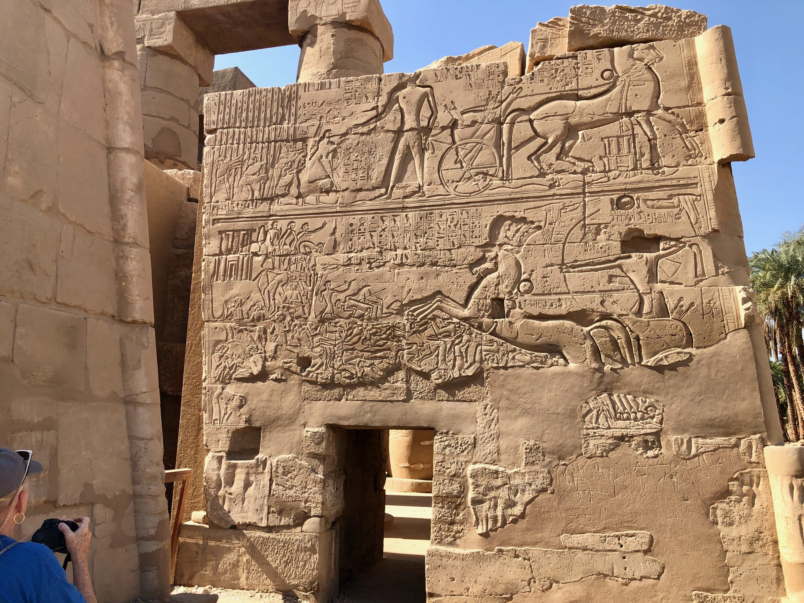 Ramses II in his chariot, carved on a wall