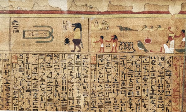 Ancient papyrus scrolls