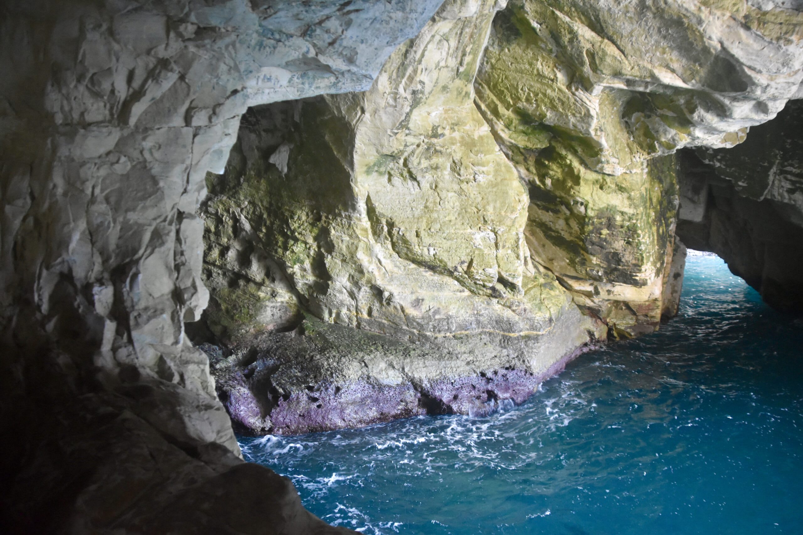 The grottos cut by the sea into the limestone