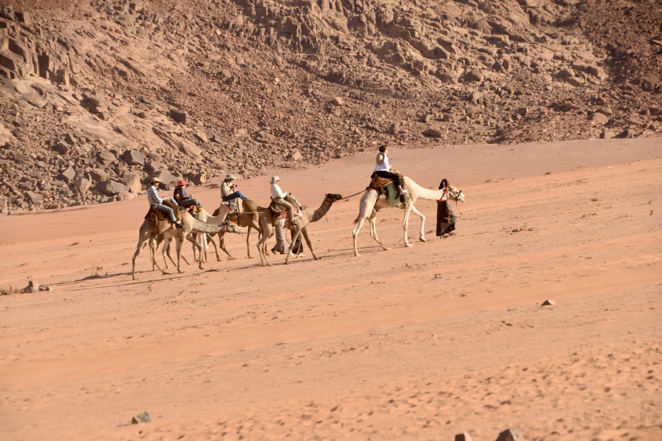 Truck or camel, a real choice in Wadi Rum