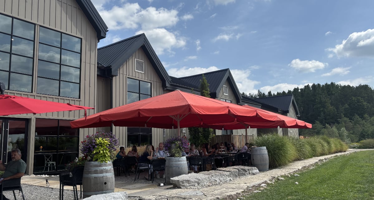 The patio beside the vines
