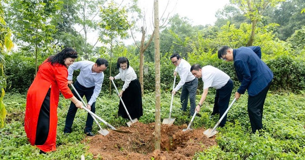 Phan Vũ “Chinh Phục” Đền Hùng bằng 1.000 Cây Xanh - Nhịp Sống Số