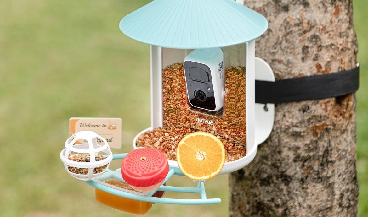 Birdfy: Món quà công nghệ độc đáo cho mẹ yêu chim! - Nhịp Sống Số