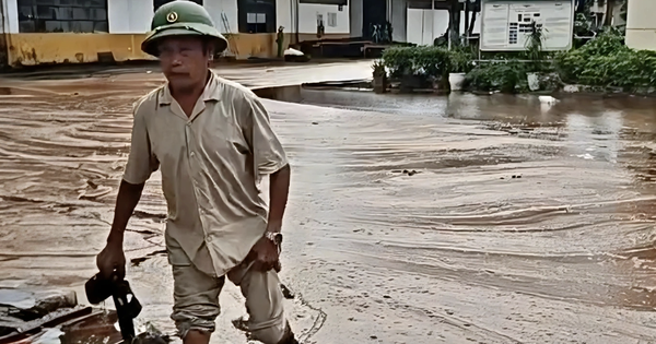Sét Đánh Bể Mật Mía: Nghệ An 