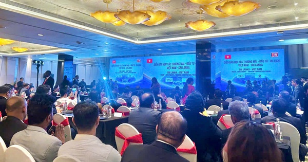 Việt Nam - Sri Lanka: Cú Hích Chiến Lược Cho Thương Mại, Đầu Tư & Du Lịch - Nhịp Sống Số