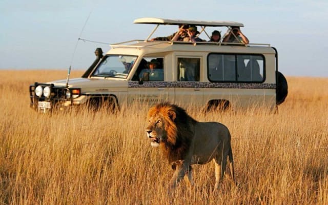 GPS Tracking for Safari and Tour Fleets in Arusha: Protecting Tanzania's Northern Circuit Vehicle Investment