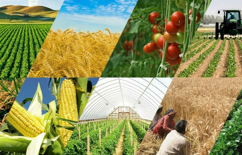 GPS Tracking for Kitale's Maize and Cross-Border Agricultural Fleets in Trans Nzoia