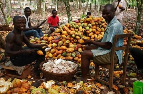 GPS Fleet Tracking for Ghana's Cocoa Haulage: Stopping In-Transit Cargo Shrinkage from Farm Gates to Tema Port