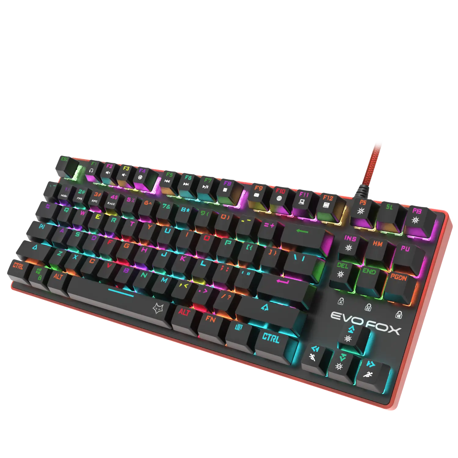 Amkette EvoFox Katana Pro — Mechanical Gaming Keyboard, Outemu Red, RGB, tenkeyless