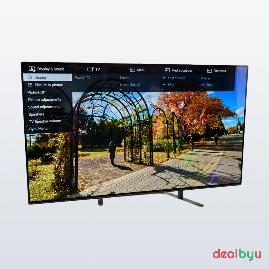 Sony Bravia A8G (OLED)