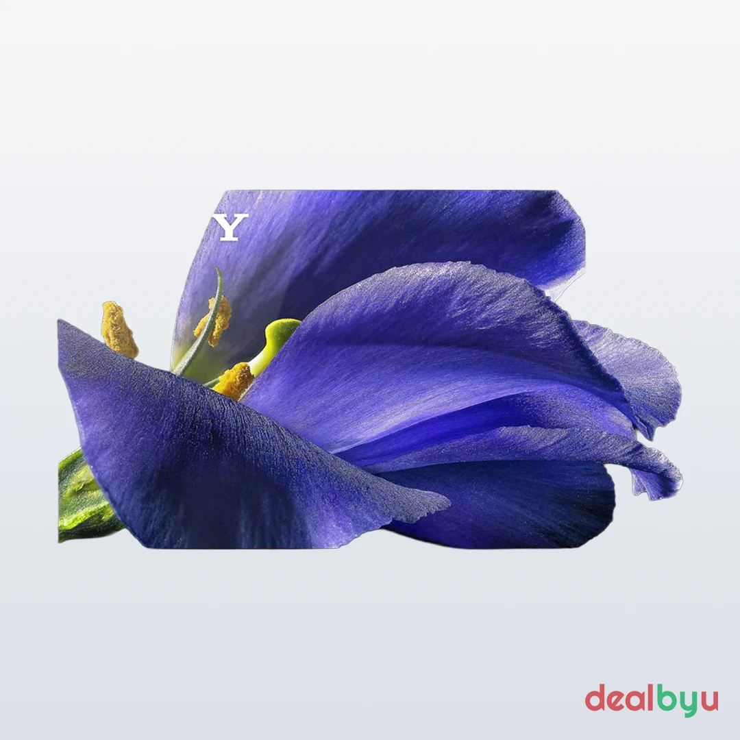 Sony Bravia Master Series A9G (OLED)