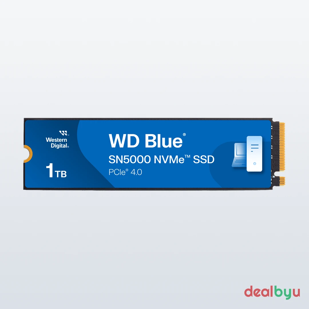 WD Blue SA510 M.2 250 GB SATA M.2 2280 SSD