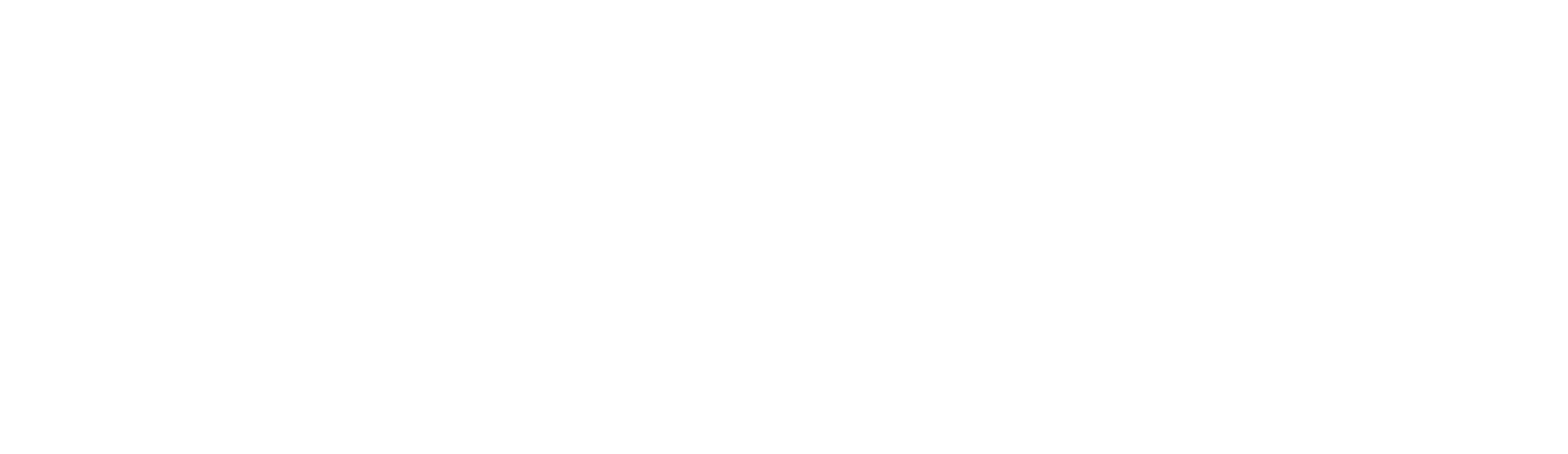 Cortex IT Projects
