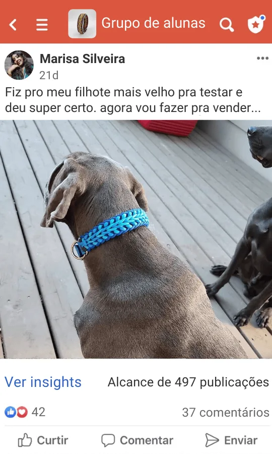 Prova social 4