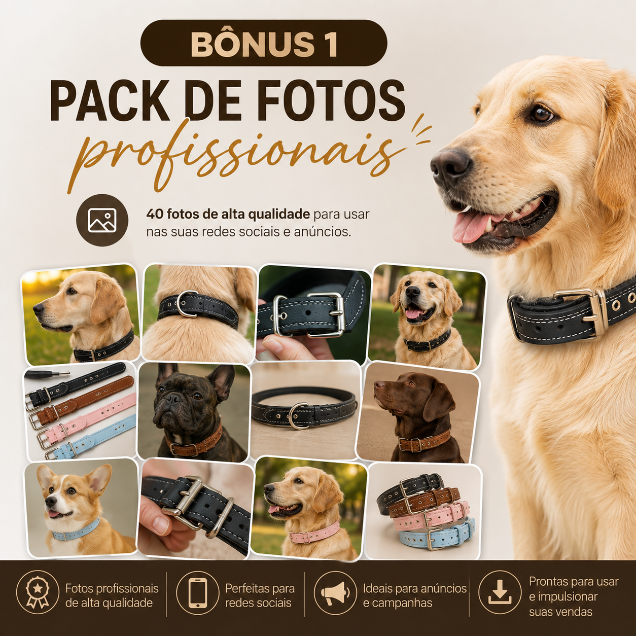 Bônus 1: Pack de fotos profissionais