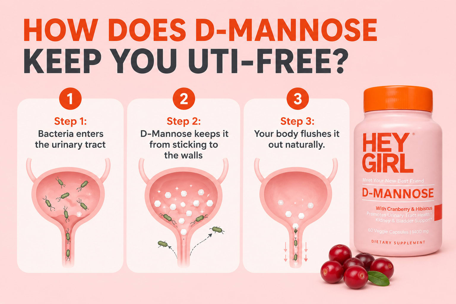 How D-Mannose keeps you UTI-free in three steps