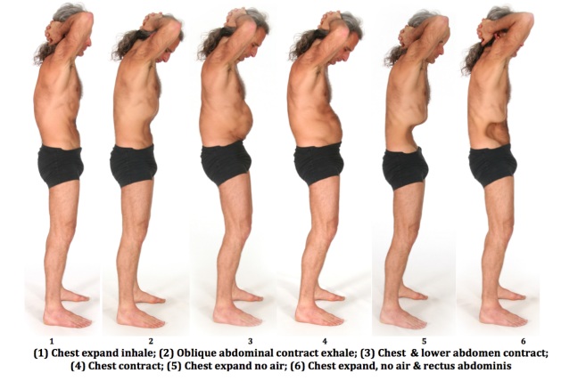 Understanding abdominal control