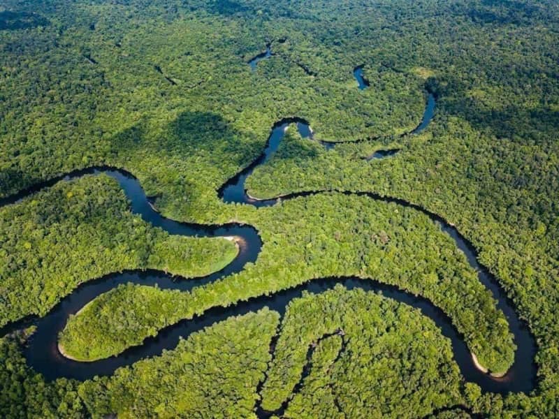 Discover hidden waterfalls, rare wildlife, and eco-tourism tips for your next trek in the rainforest.