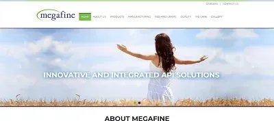 Megafine - Dexterous Technology Portfolio