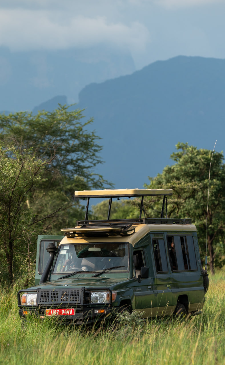 Uganda golden hour