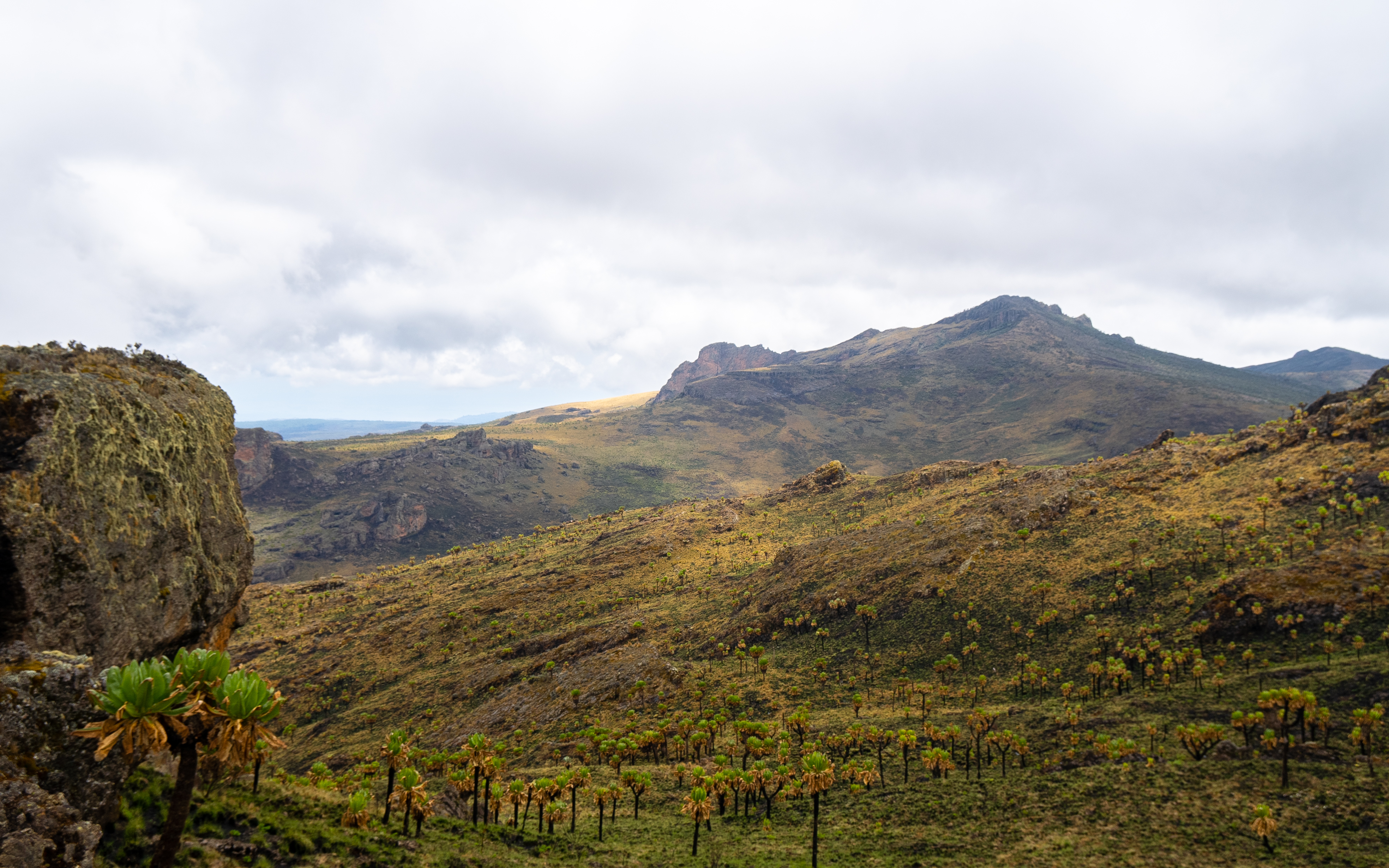 Mount Elgon Uganda Wandern Abenteuer