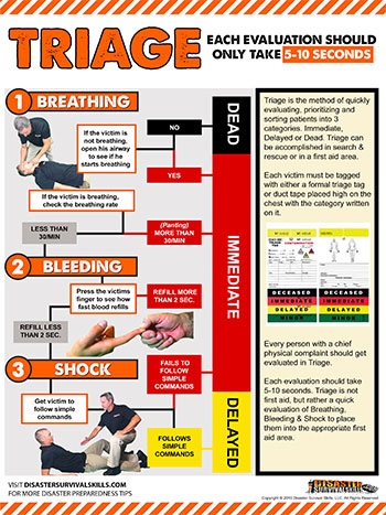 Disaster Response Triage Guide (with Poster)