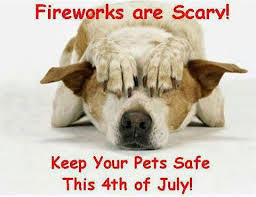 Pet Safety-Fourth of July