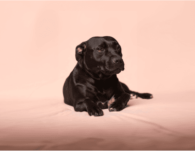 Anxiety Rehabilitation Program-image