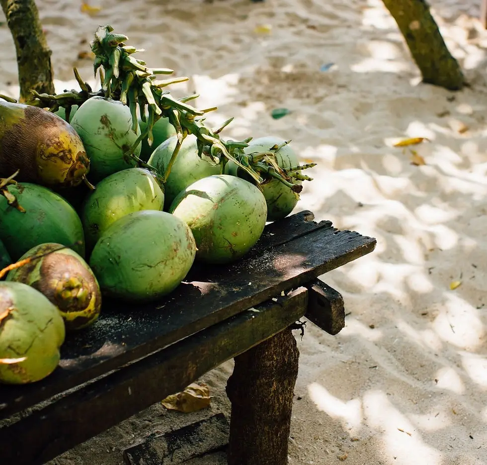 The Coconut Fruit A Tropical Superfood