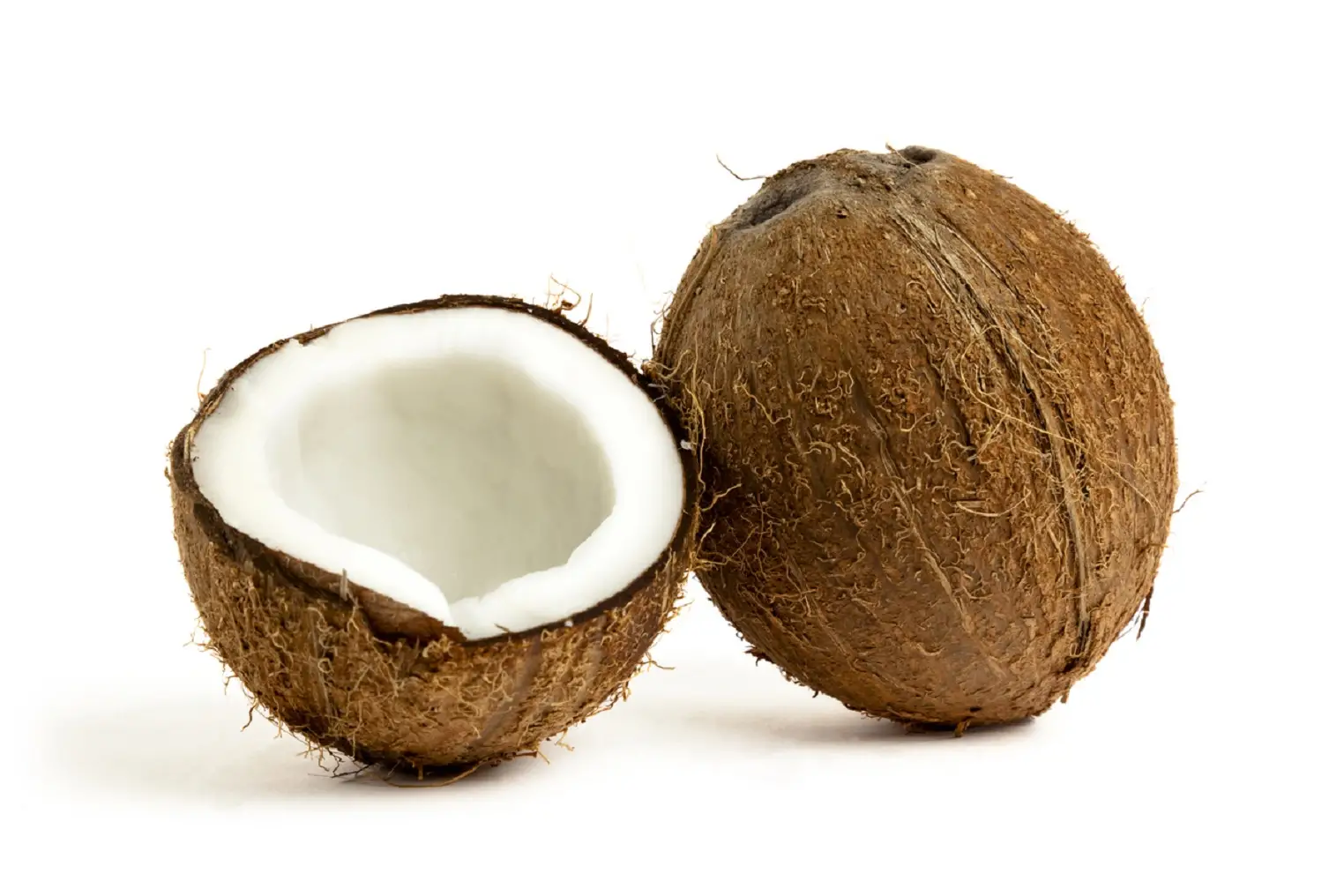 The Coconut Fruit A Tropical Superfood
