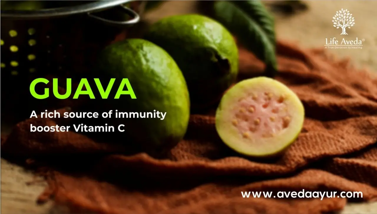 Guava Fruit A Tropical Treat with Abundant Benefits