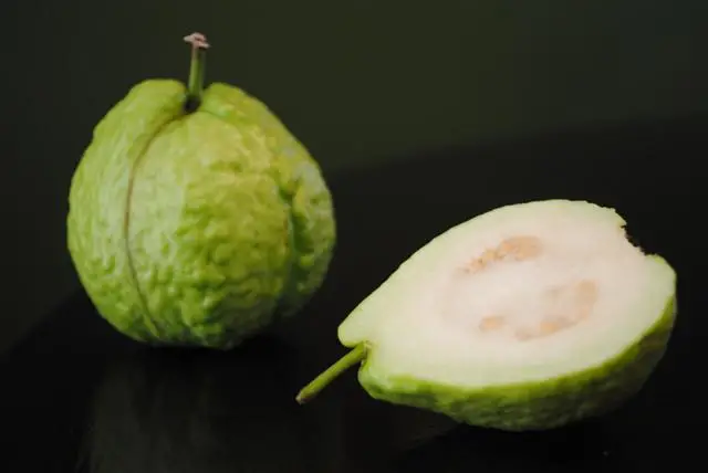 Guava Fruit A Tropical Treat with Abundant Benefits Guava Fruit A Tropical Treat with Abundant Benefits