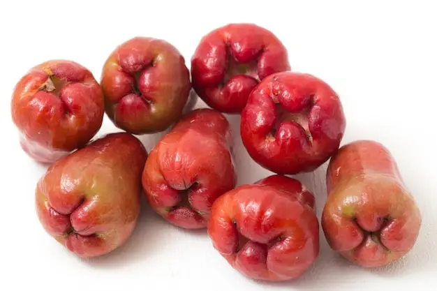 Java Apple Fruit A Delicious and Nutritious Tropical Treat