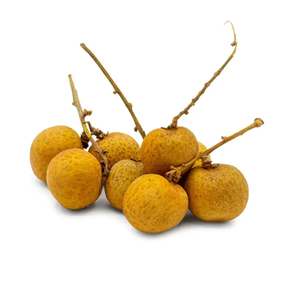 The unique and delightful taste of longan fruit 4 The Sweet and Unique Taste of Longan Fruit