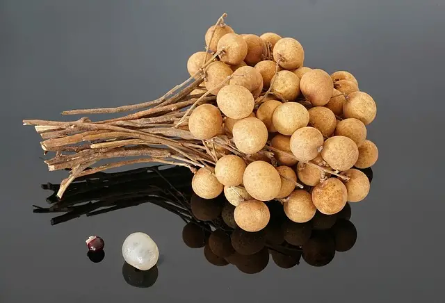 The unique and delightful taste of longan fruit 10 The Sweet and Unique Taste of Longan Fruit