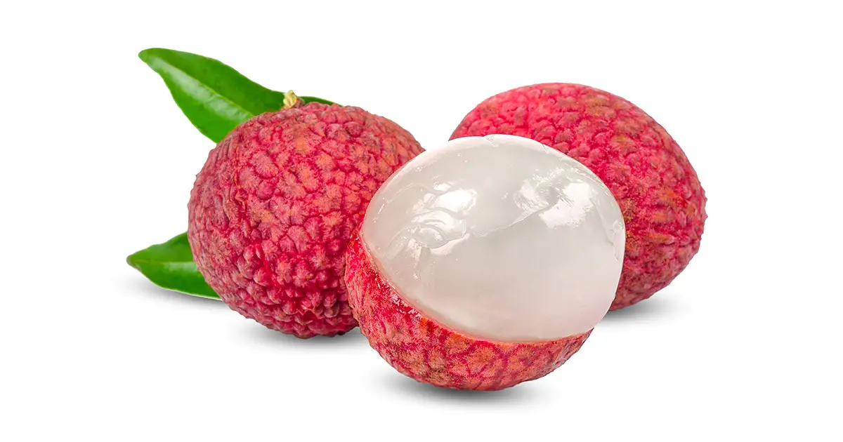 Lychee Fruit A Sweet and Nutritious Tropical Gem