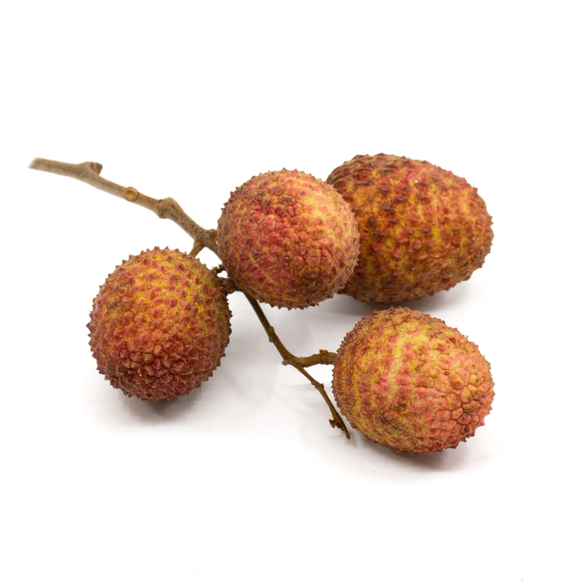 Lychee Fruit A Sweet and Nutritious Tropical Gem