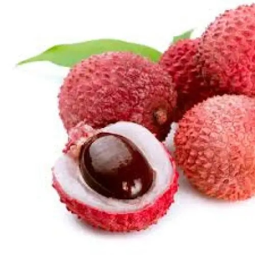 Lychee Fruit A Sweet and Nutritious Tropical Gem