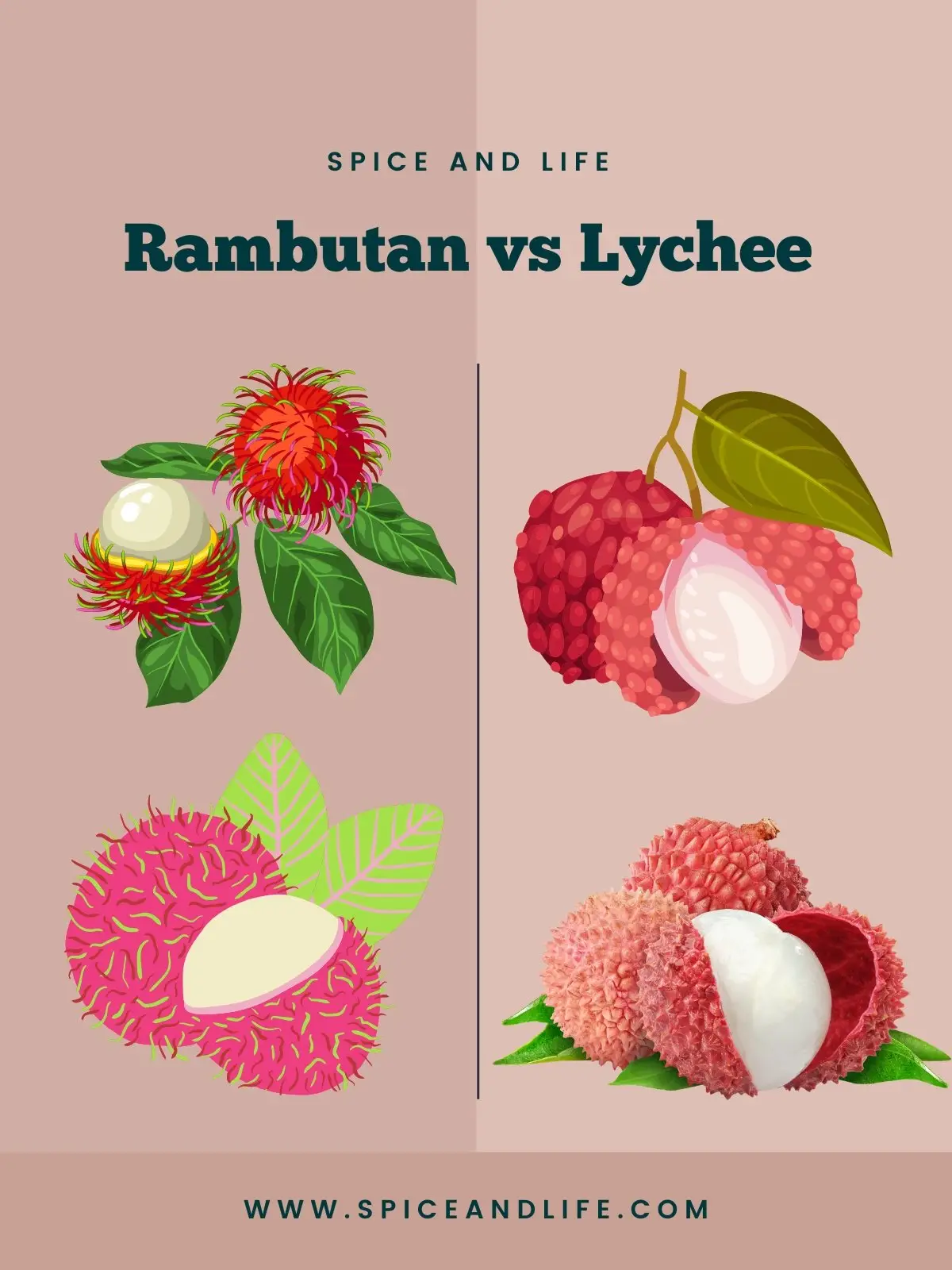 Lychee Fruit A Sweet and Nutritious Tropical Gem