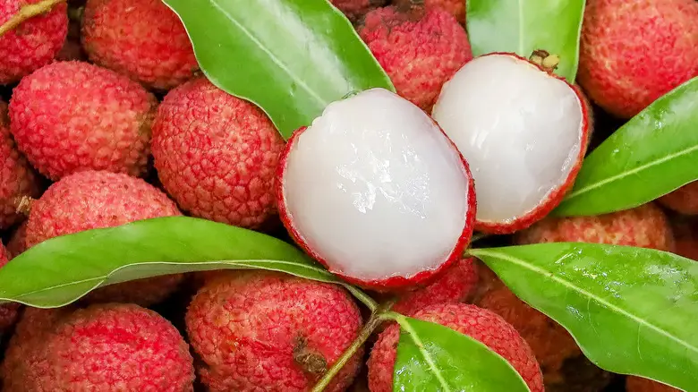 Lychee Fruit A Sweet and Nutritious Tropical Gem