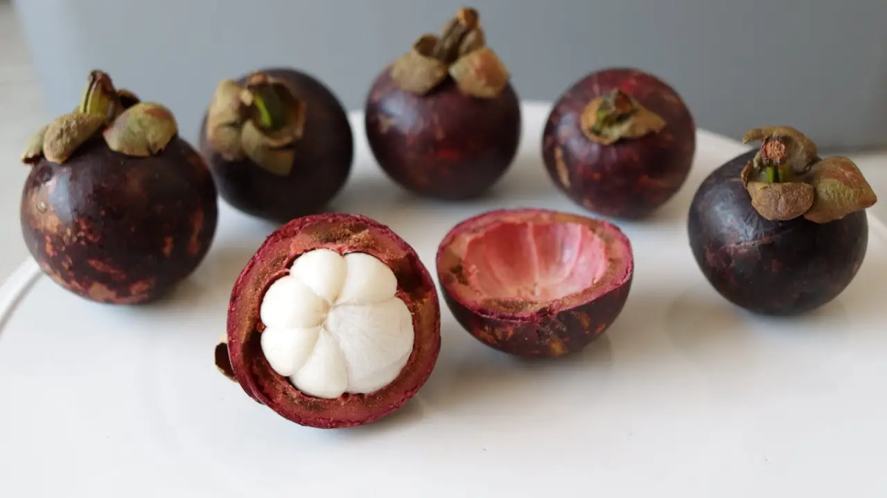 Mangosteen Fruit A Tropical Delight with Remarkable Health Benefits 5 Mangosteen Fruit A Tropical Delight with Remarkable Health Benefits
