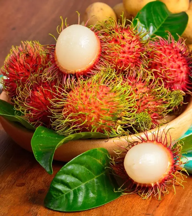 The Intriguing Rambutan Fruit: A Comprehensive Exploration 6 The Amazing Rambutan Fruit A Comprehensive Guide