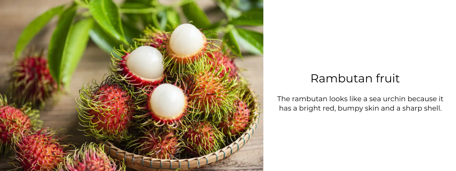 The Intriguing Rambutan Fruit: A Comprehensive Exploration 4 The Amazing Rambutan Fruit A Comprehensive Guide