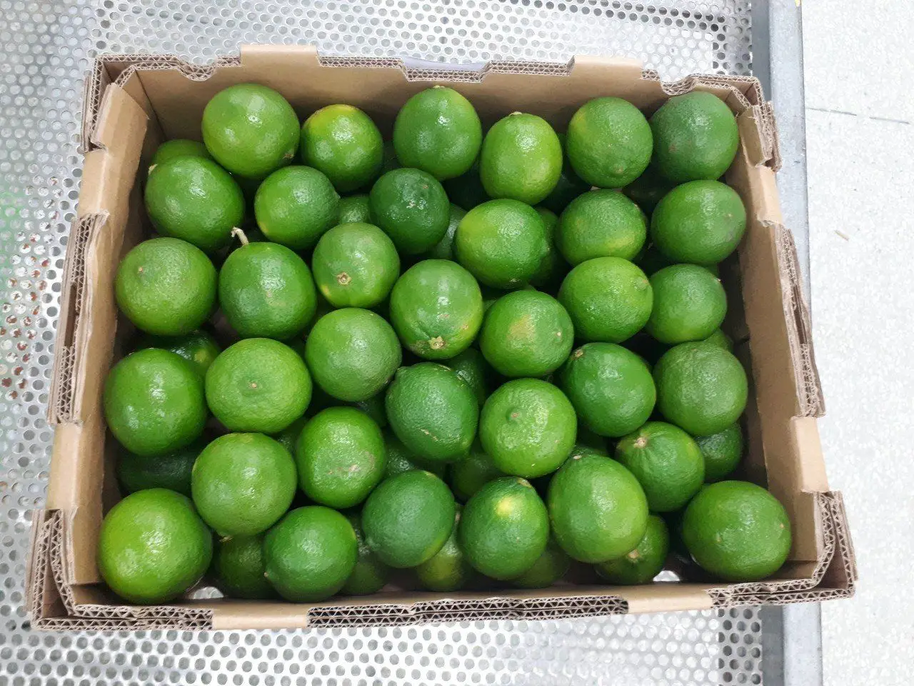 Comprehensive manual for Seedless lime without Seeds 7 Seedless Lime A Comprehensive Guide